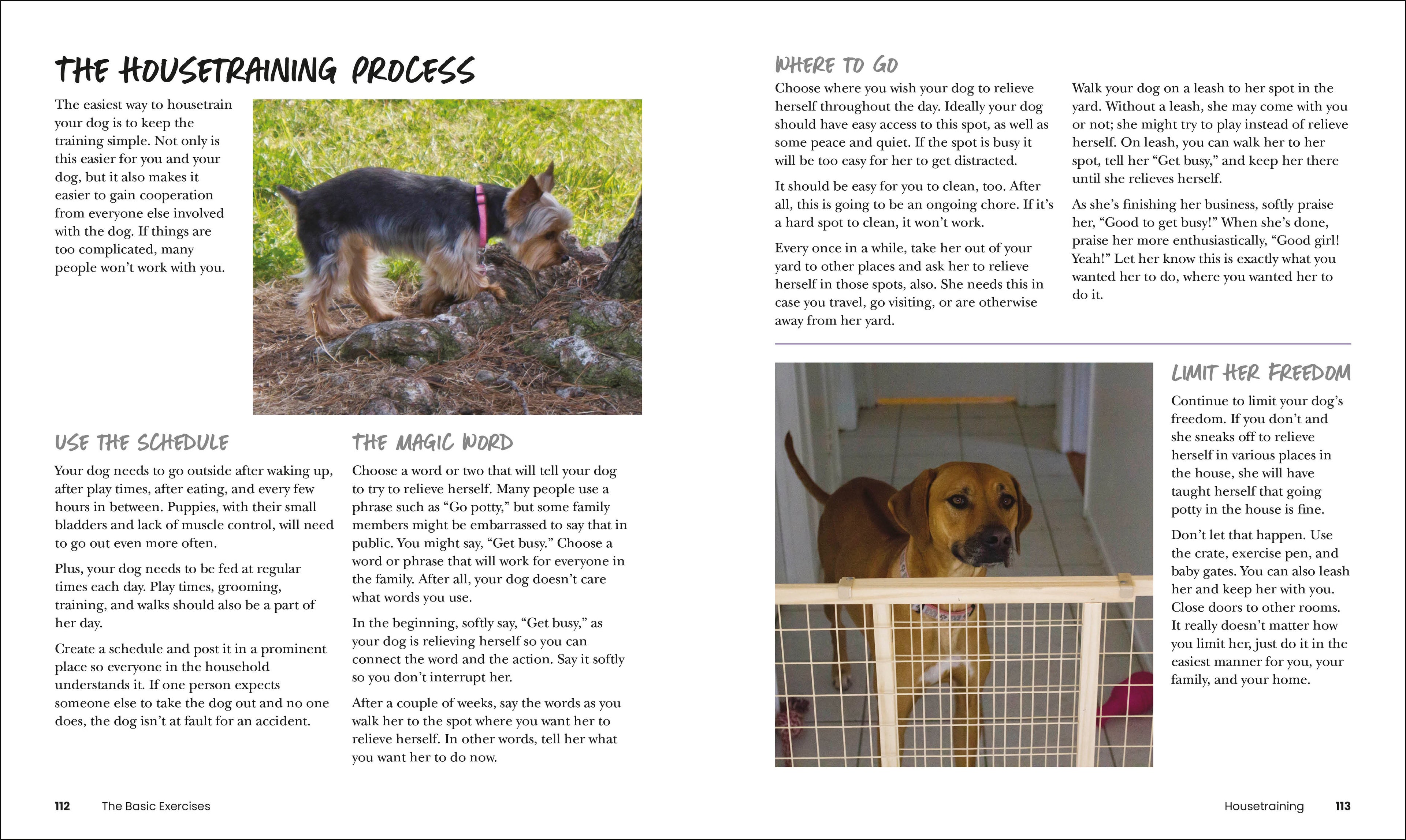 How to Train Your Dog-Spread, Image, (PRHC, Design, Do, Not, Use)-4