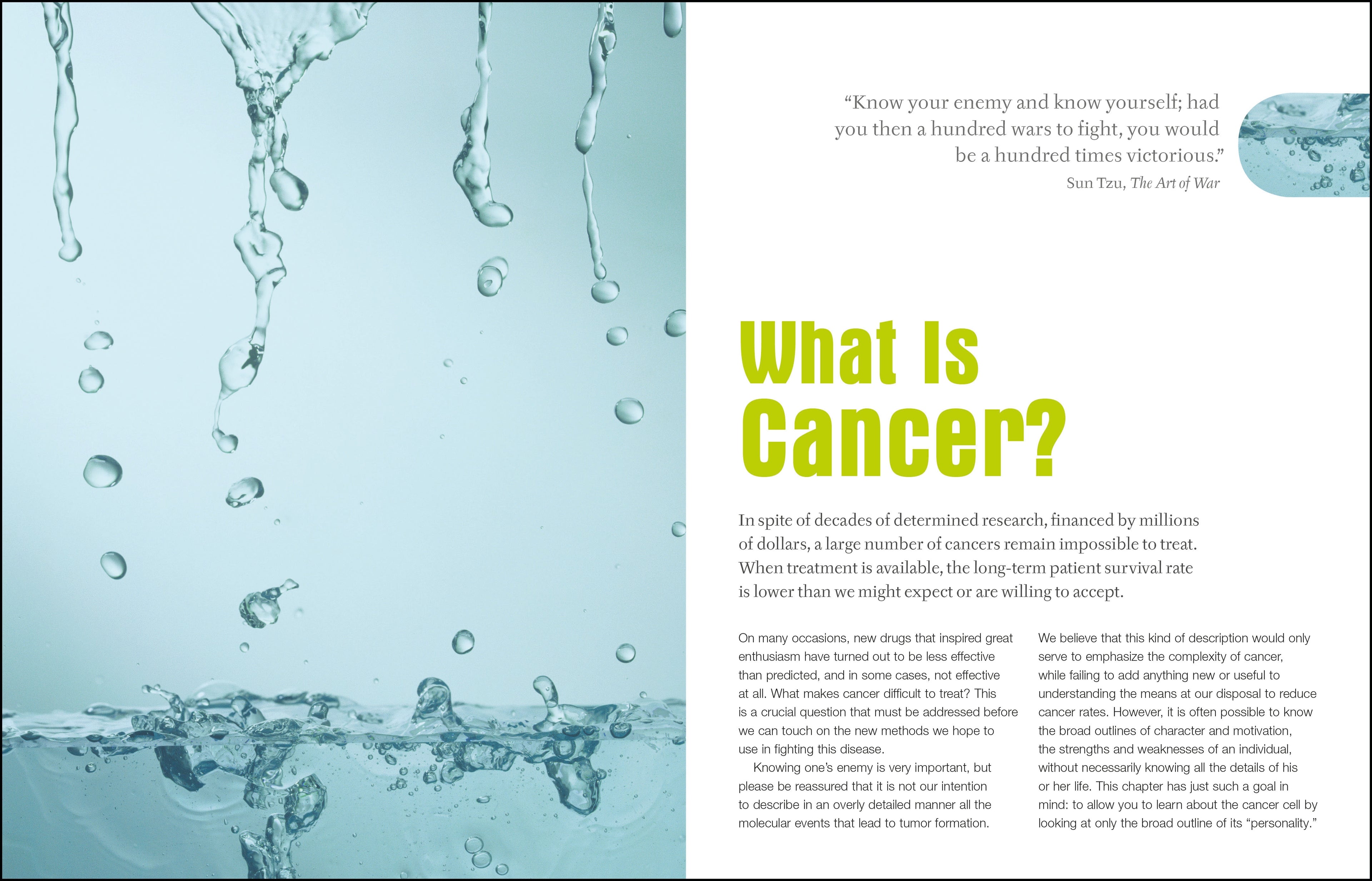 Foods to Fight Cancer