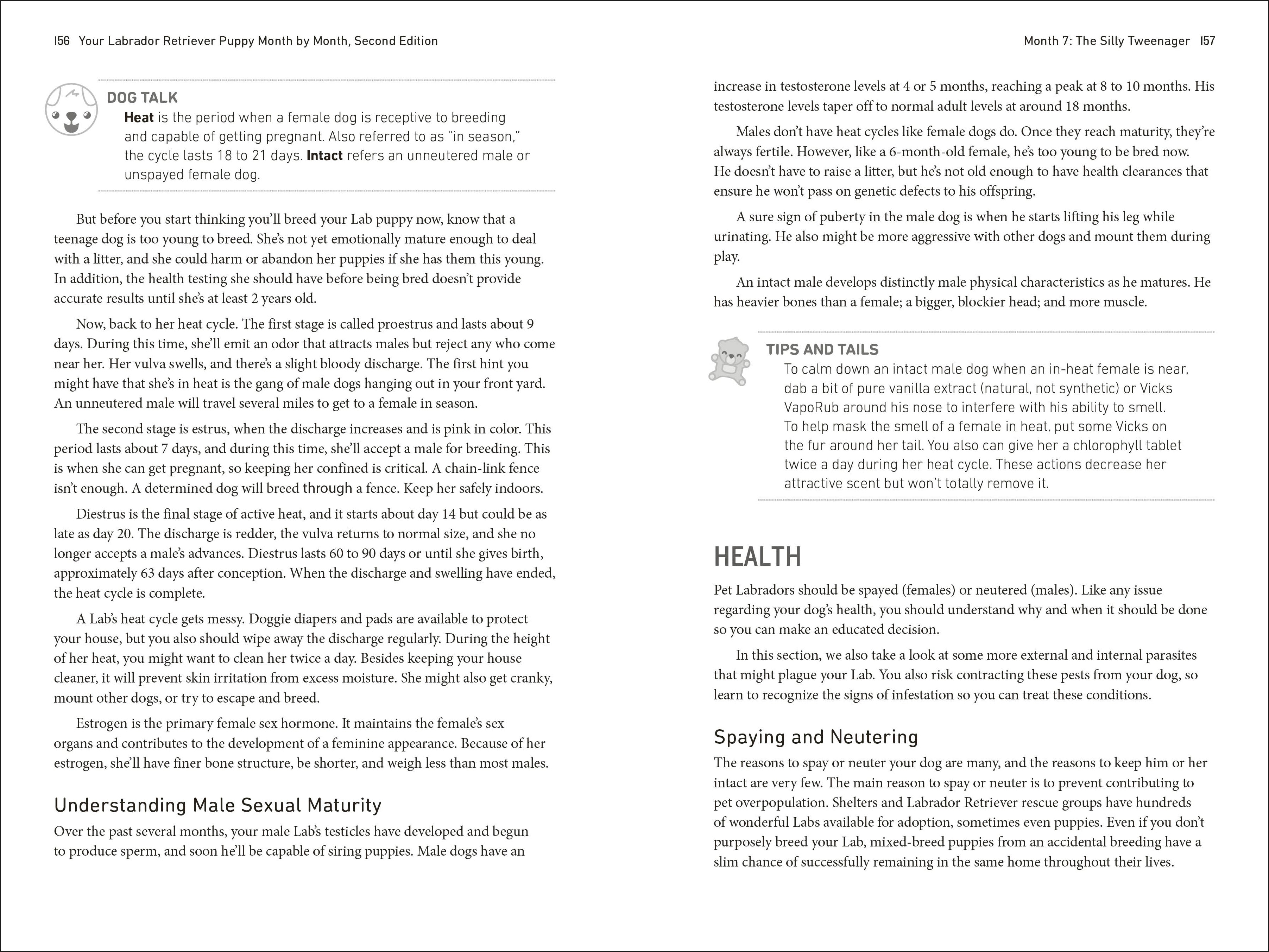 Your Labrador Retriever Puppy Month by Month, 2nd Edition