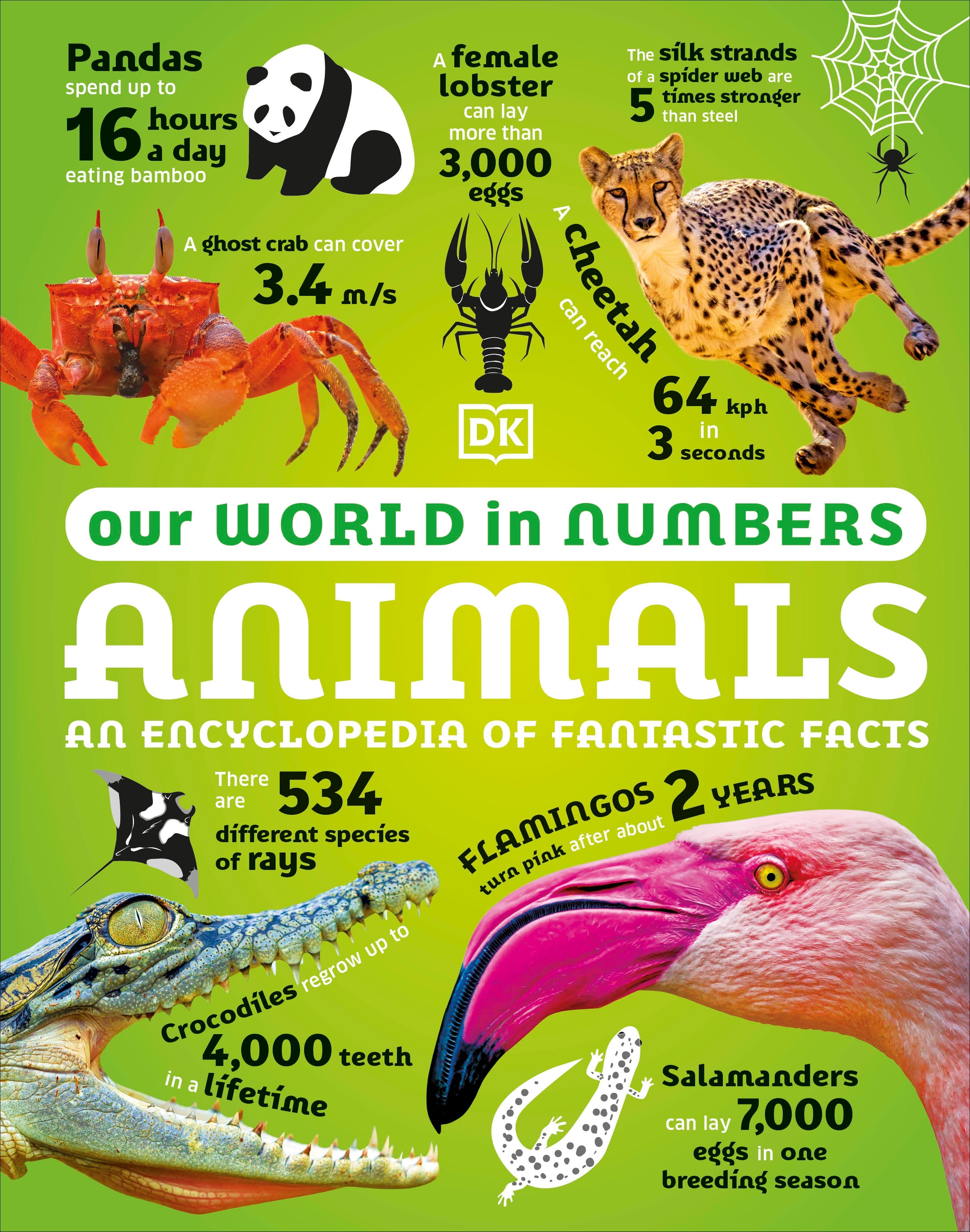 9780241569795-Our World in Numbers Animals-Jacket Image