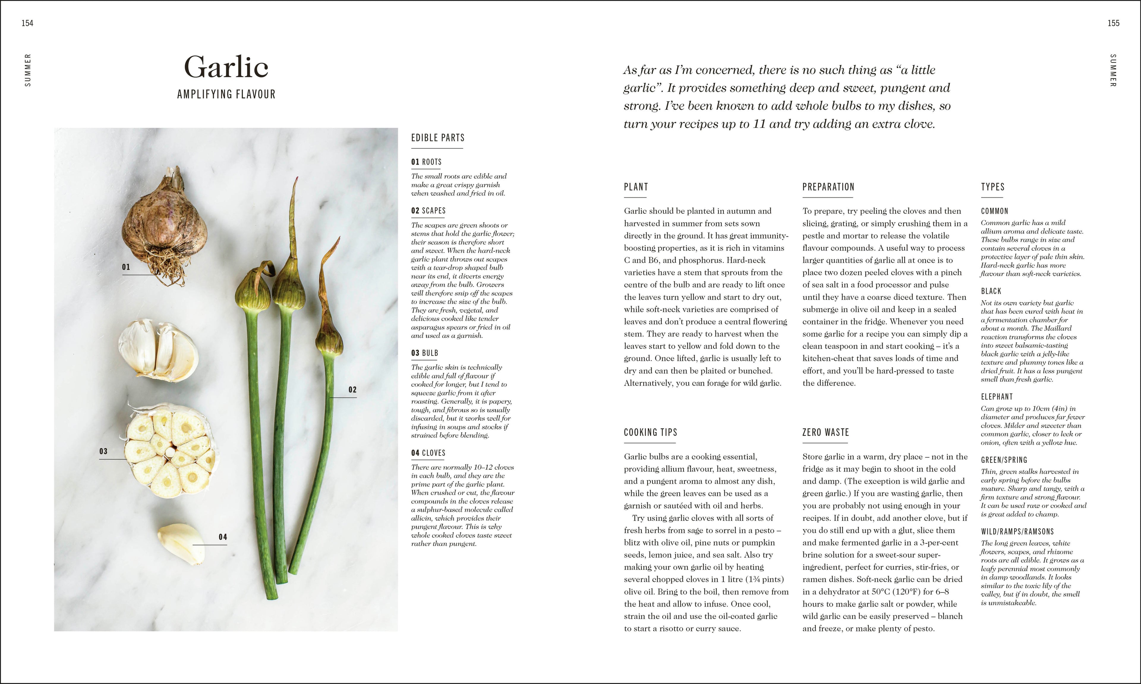 The Complete Vegetable Cookbook