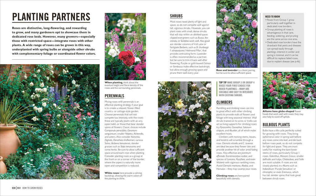 Grow Roses-Spread, Image, (PRHC, Design, Do, Not, Use)-3