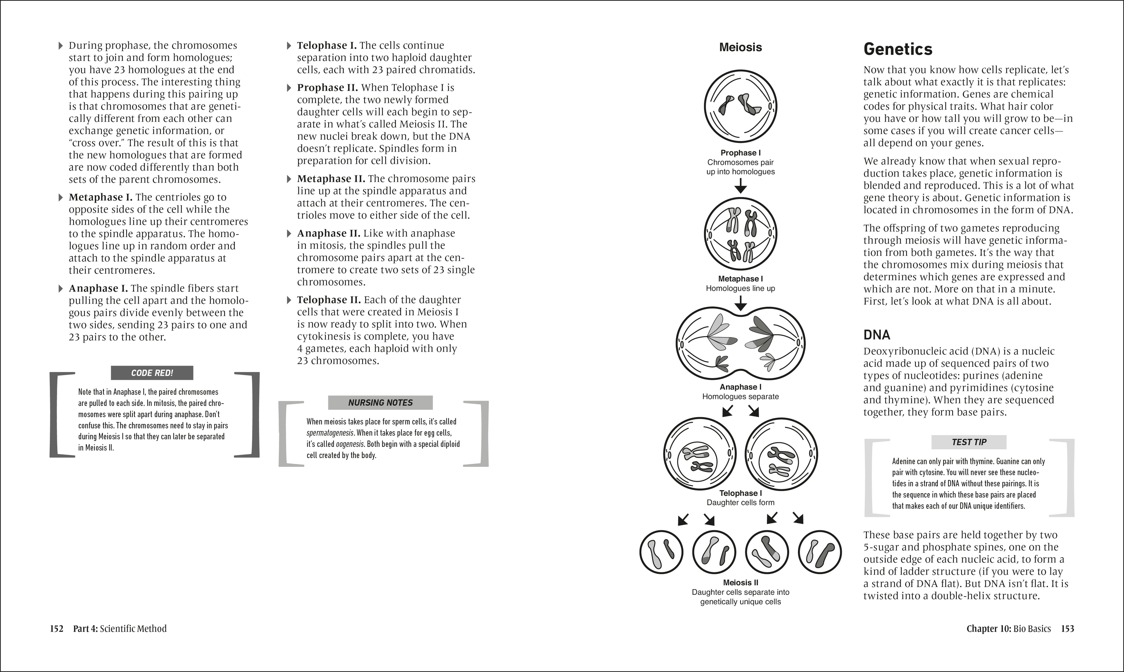Nursing Entrance Exams