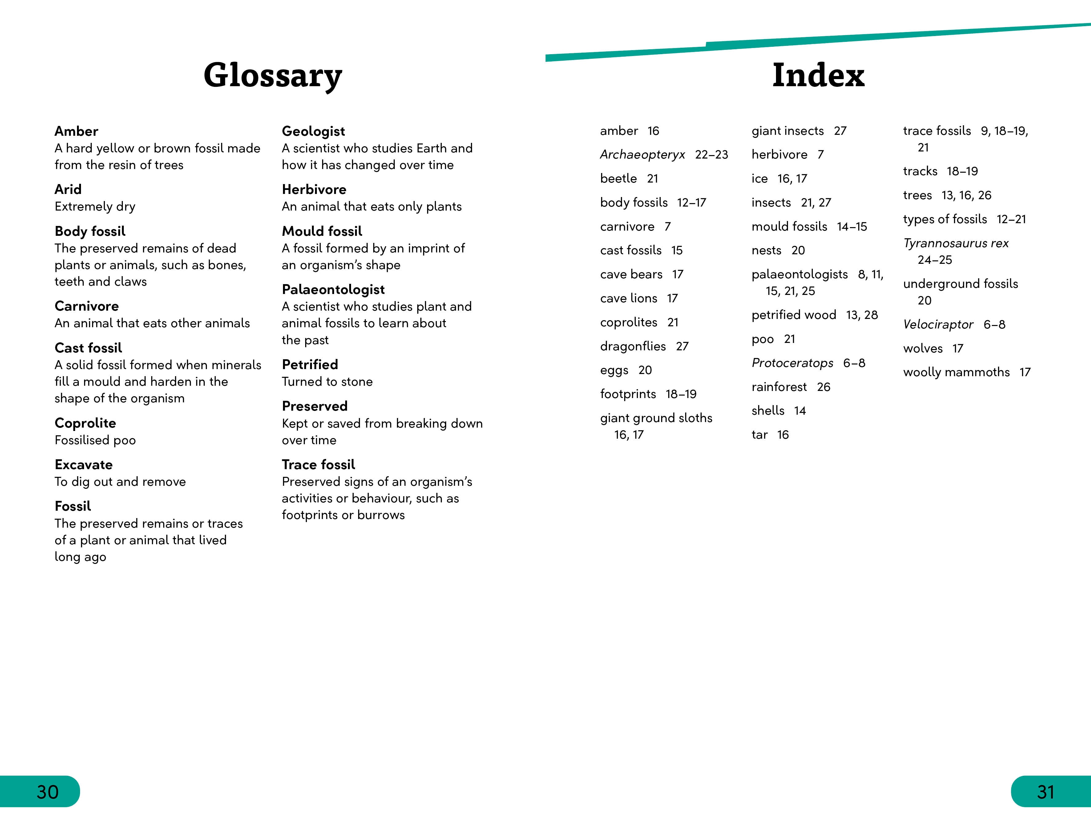 DK Super Readers Level 3 Fossils