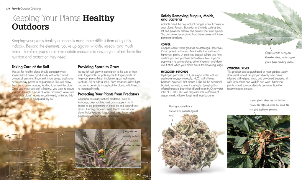 Cannabis-Spread, Image, (PRHC, Design, Do, Not, Use)-5