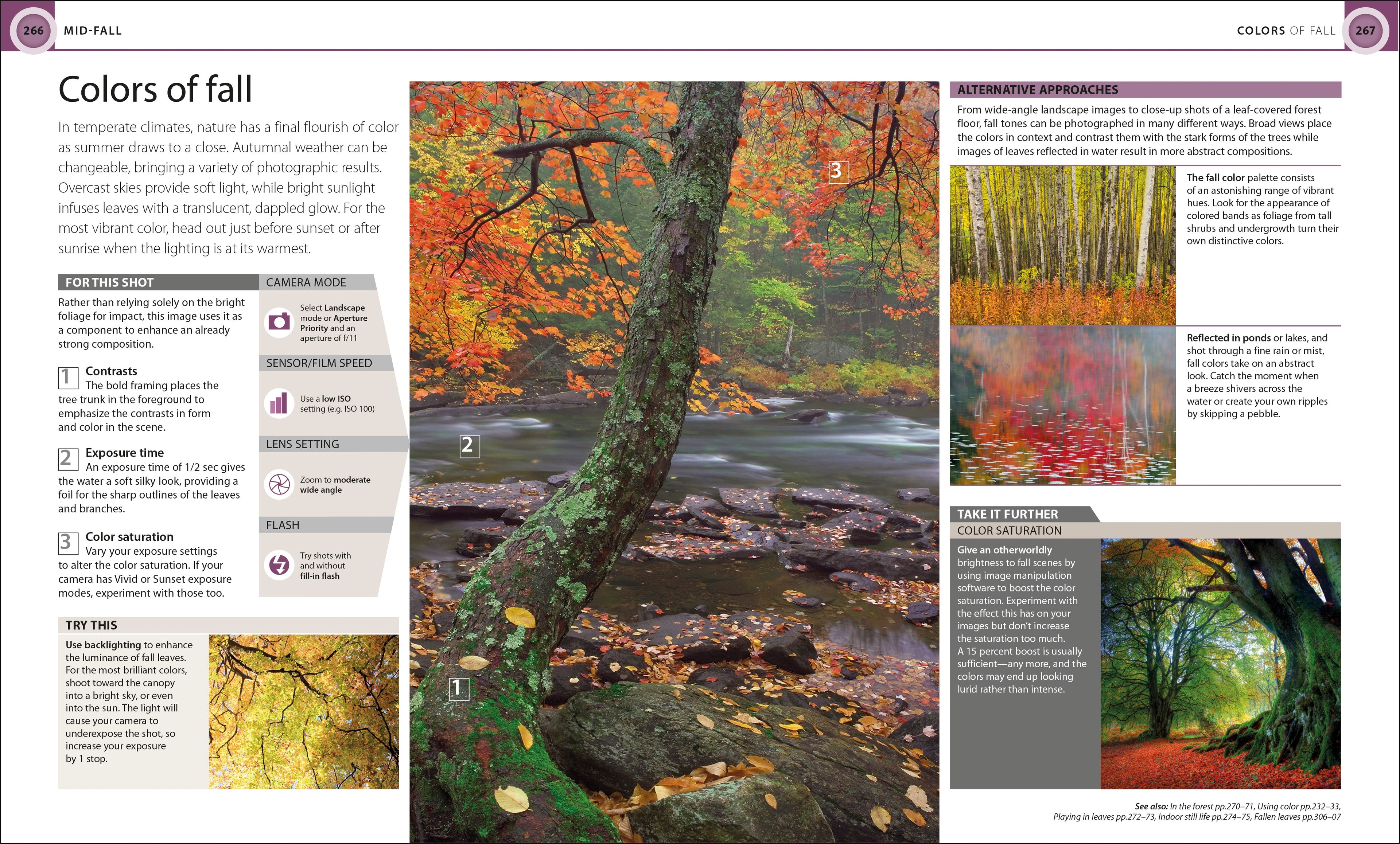 Digital Photography Through Yr