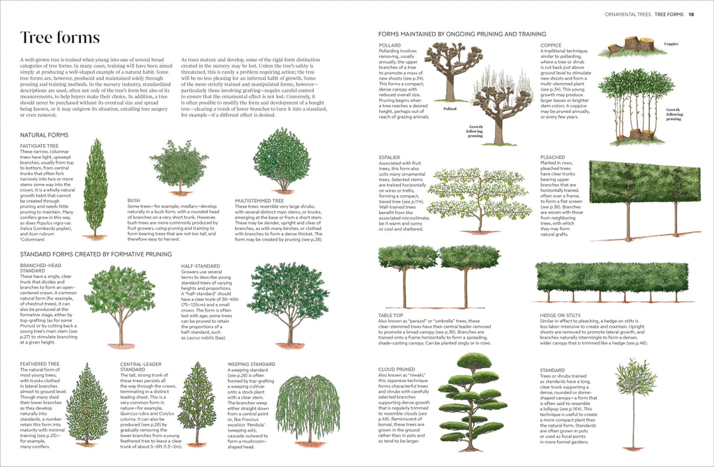 Pruning and Training-Spread, Image, (PRHC, Design, Do, Not, Use)-3