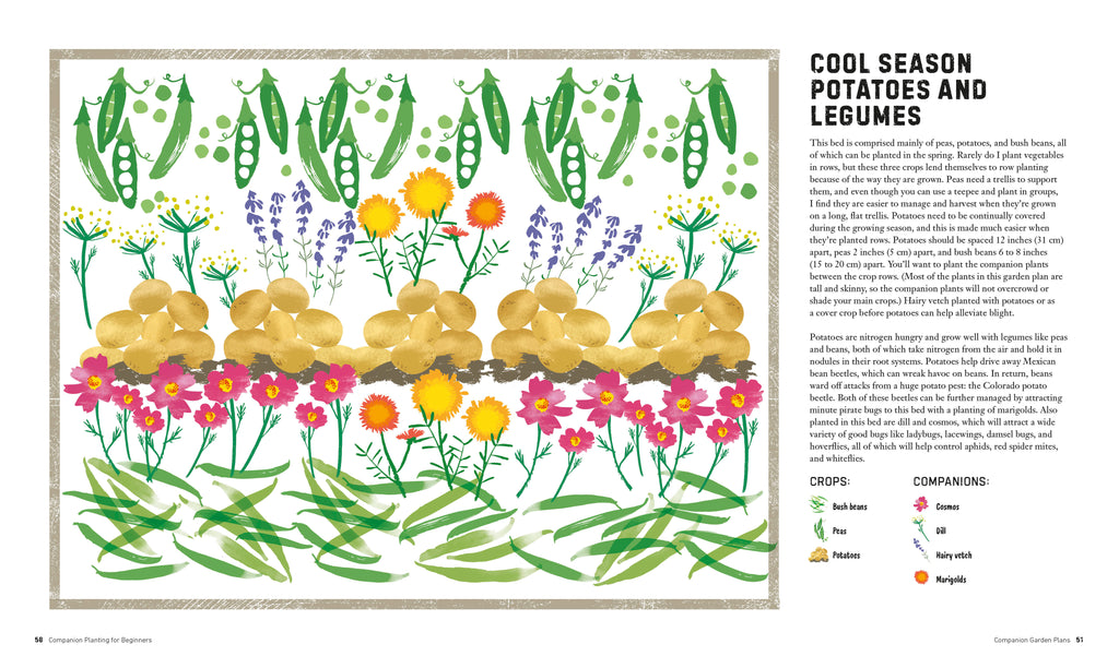 Companion Planting for Beginners-Spread, Image, (PRHC, Design, Do, Not, Use)-2