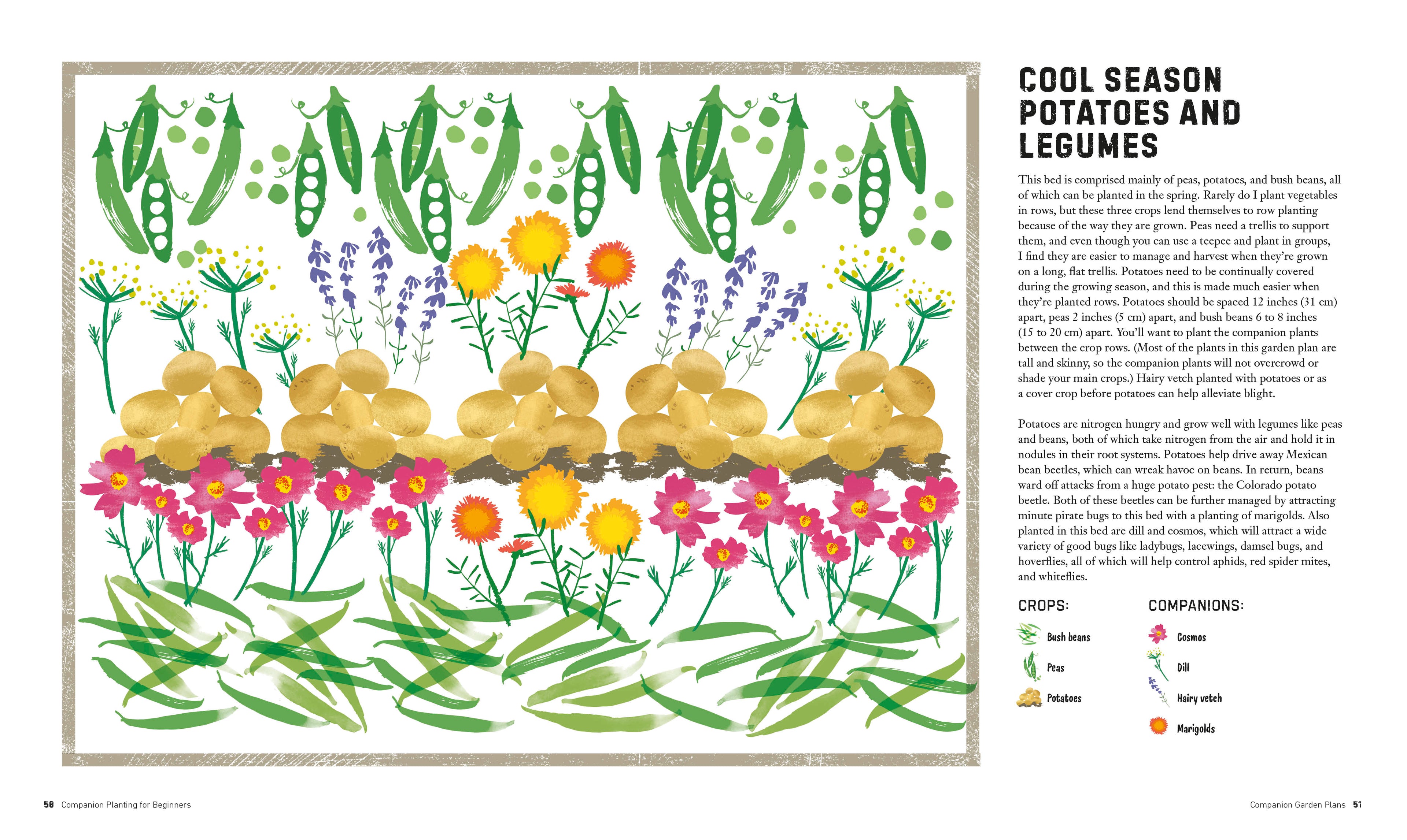 Companion Planting for Beginners-Spread, Image, (PRHC, Design, Do, Not, Use)-2