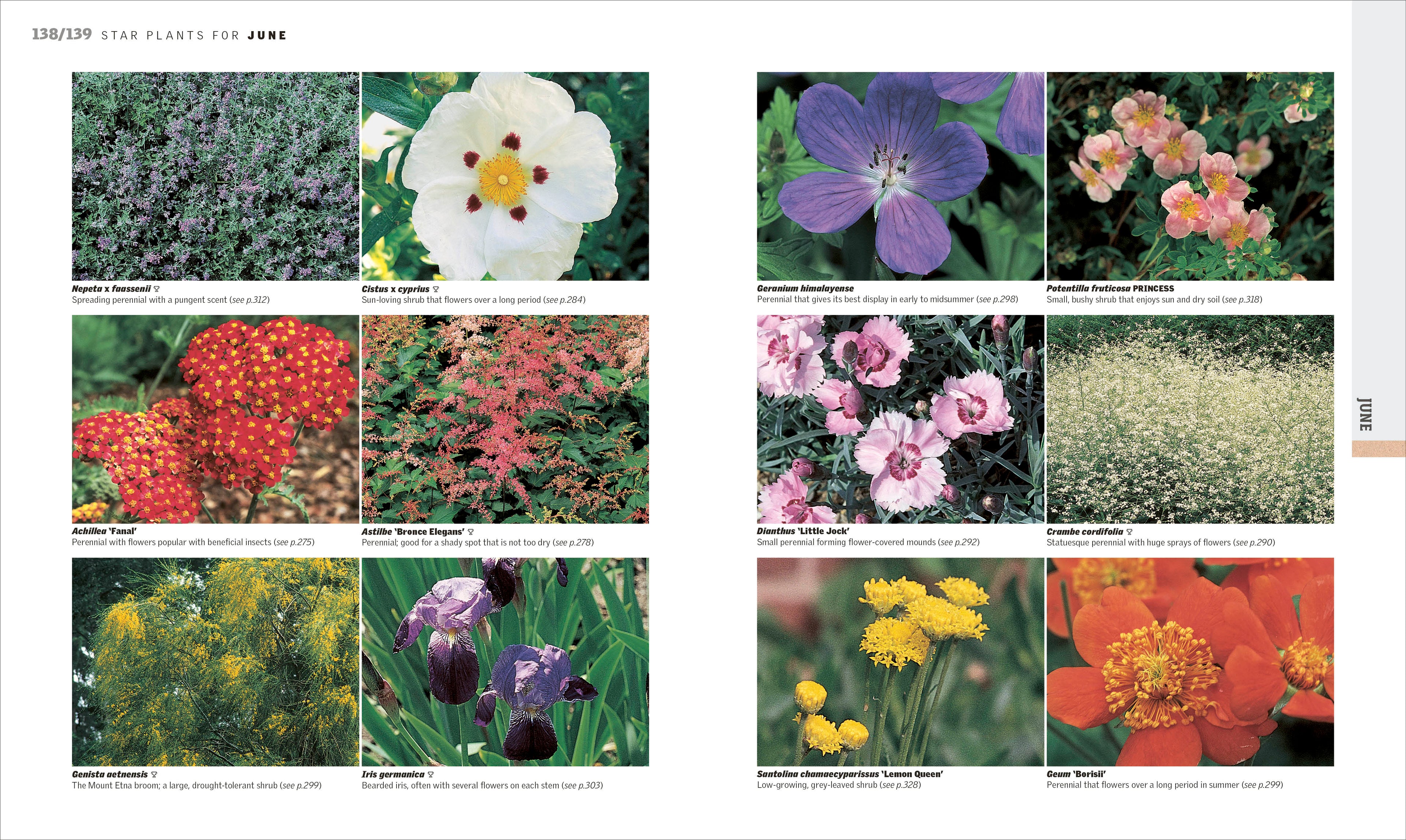 RHS Gardening Through the Year-Spread, Image, (PRHC, Design, Do, Not, Use)-4