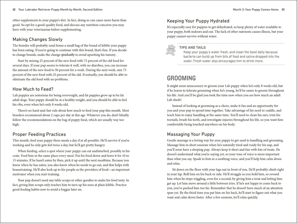 Your Labrador Retriever Puppy Month by Month, 2nd Edition