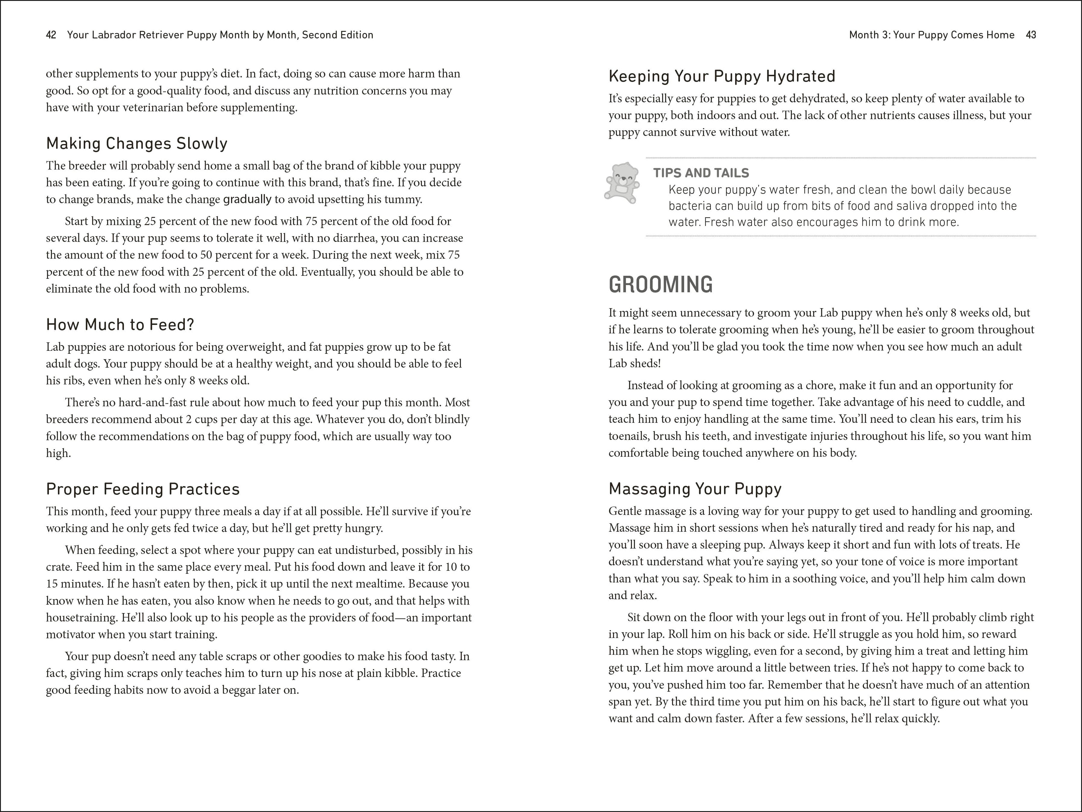 Your Labrador Retriever Puppy Month by Month, 2nd Edition