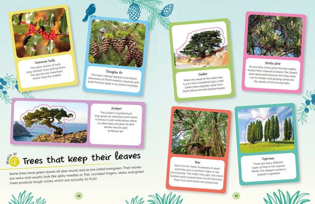 Ultimate Sticker Book Trees and Leaves-Spread, Image, (PRHC, Design, Do, Not, Use)-3