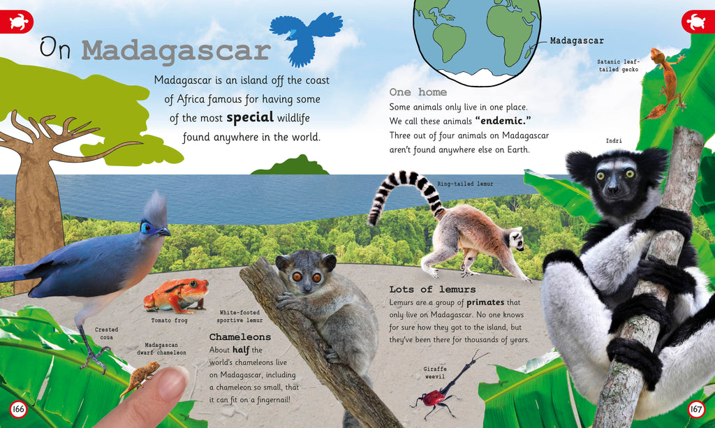 My Encyclopedia of Very Important Animals