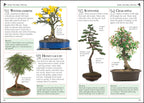101 Essential Tips Bonsai