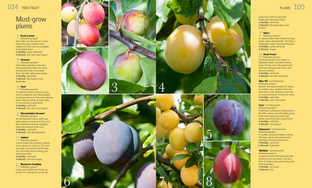 Grow Fruit