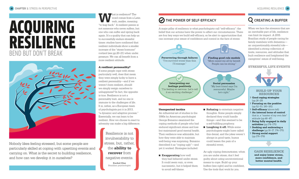 Stress The Psychology of Managing Pressure