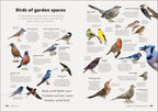 Birdwatching Guide-Spread, Image, (PRHC, Design, Do, Not, Use)-3