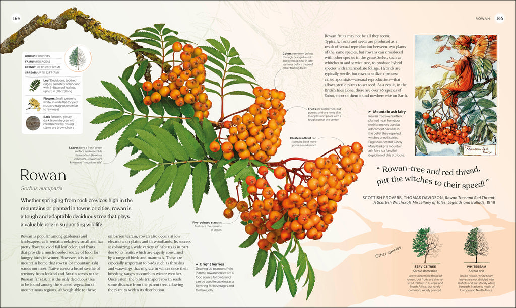 The Tree Book-Spread, Image, (PRHC, Design, Do, Not, Use)-9