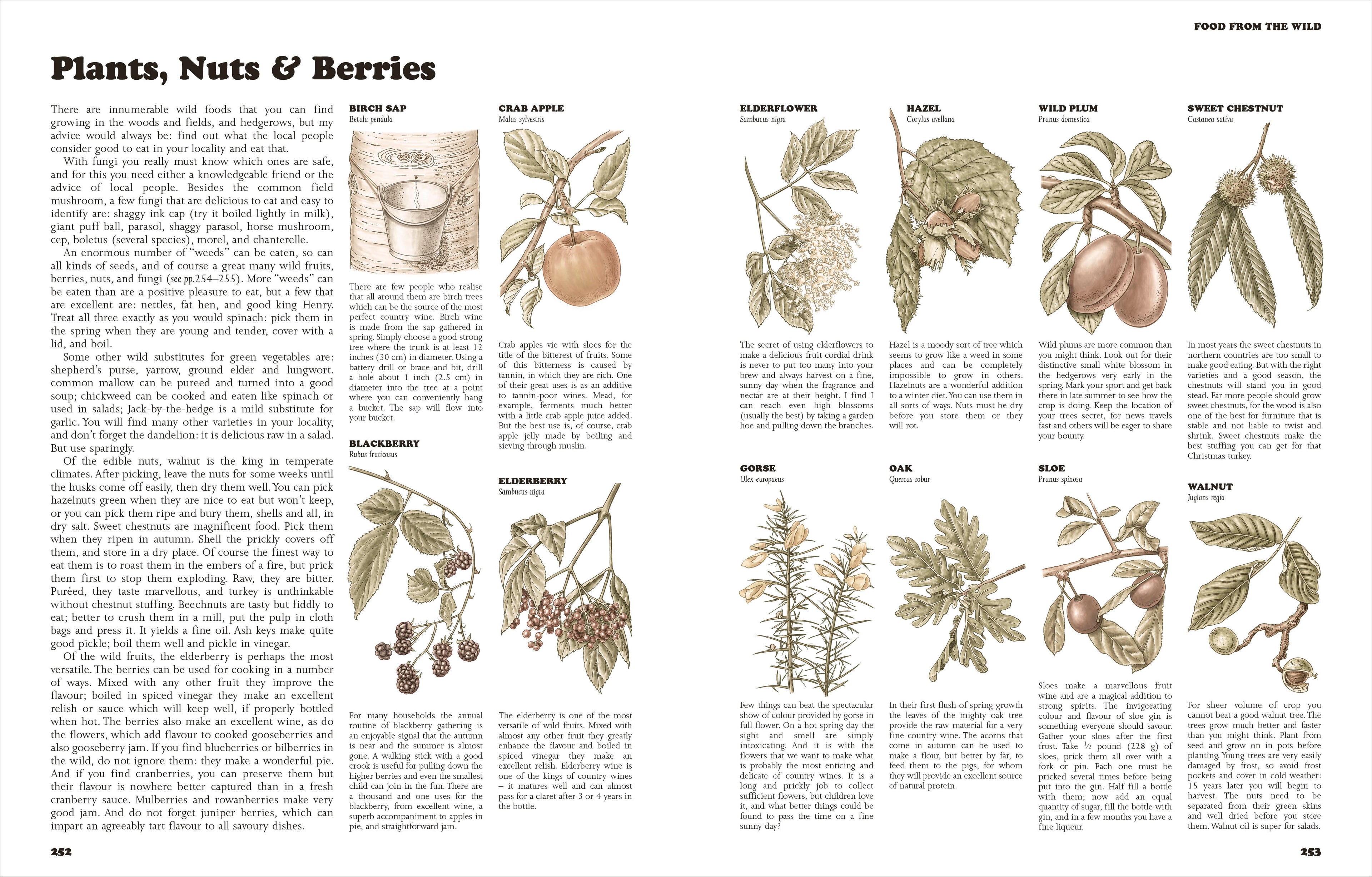 The Complete Book of Self-Sufficiency