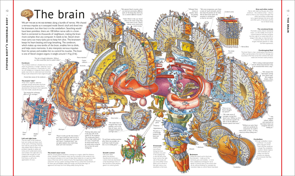Stephen Biesty's Incredible Body Cross-Sections