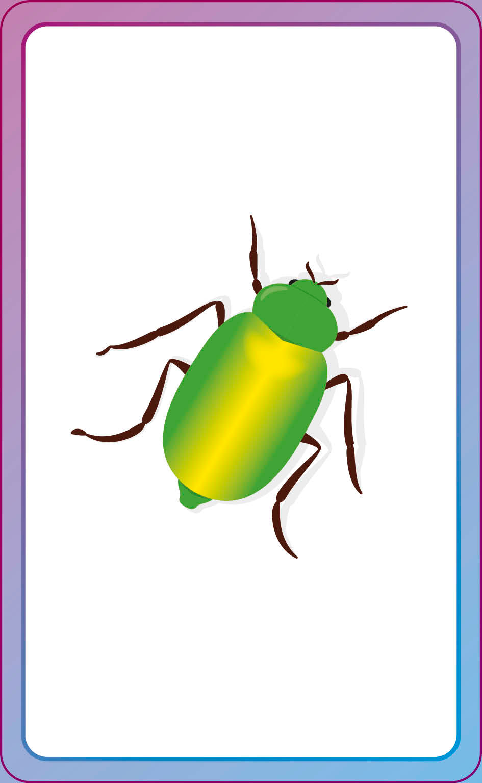 English for Everyone Junior First Words Animals Flash Cards-Spread, Image, (PRHC, Design, Do, Not, Use)-6