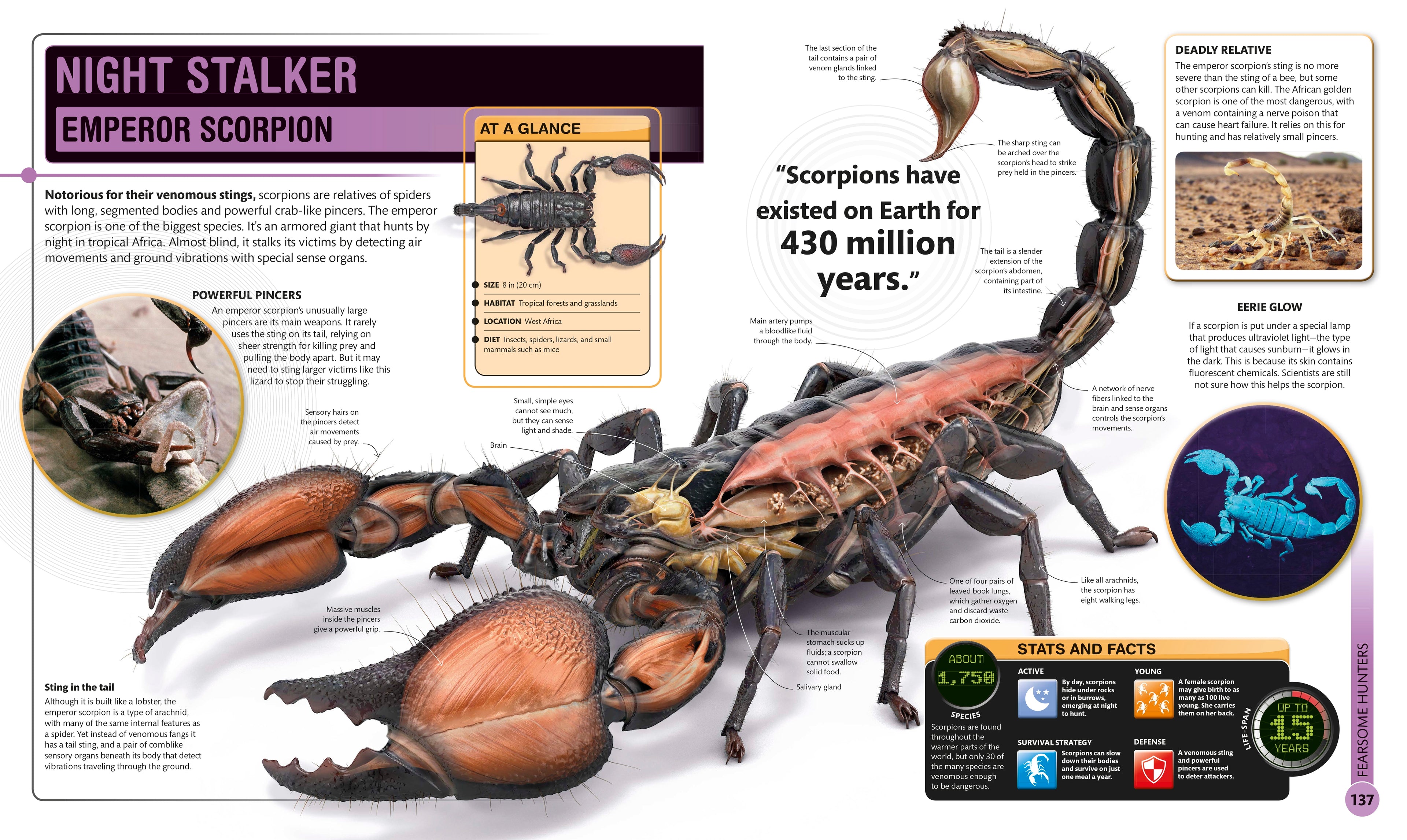 Super Bug Encyclopedia