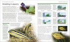 Encyclopedia of Aquarium and Pond Fish