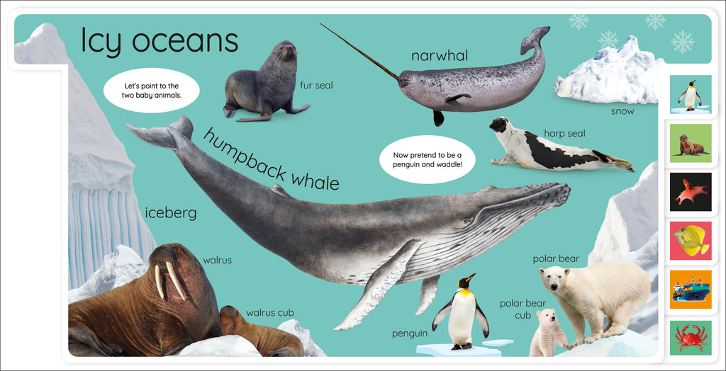 My First Ocean: Let’s Dive In and Explore!