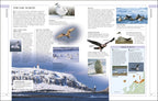 RSPB Complete Birds of Britain and Europe