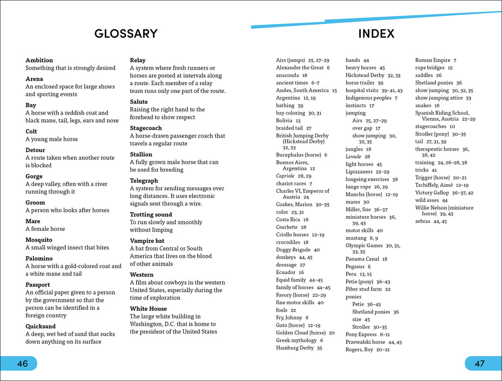 DK Super Readers Level 4 Horse Heroes