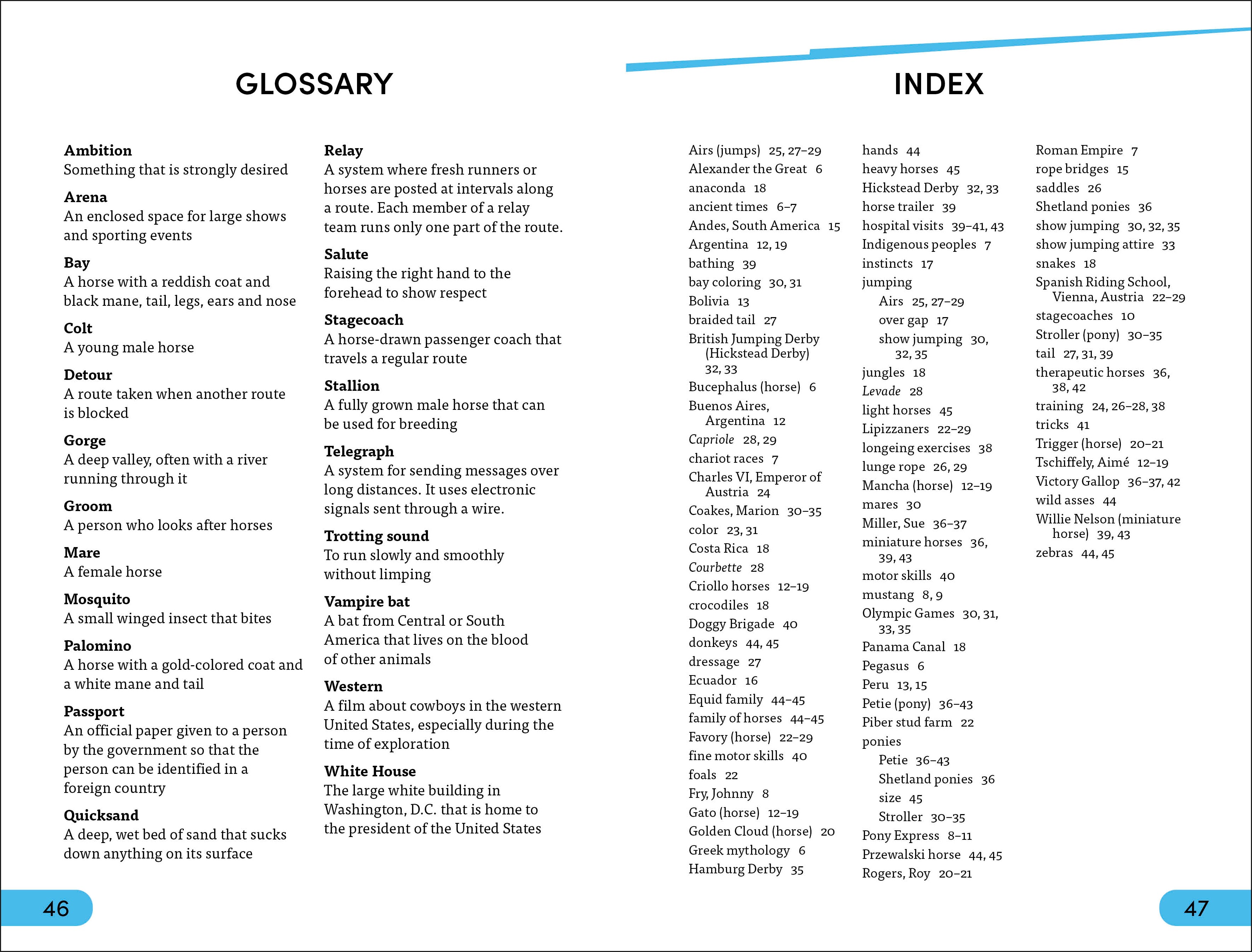 DK Super Readers Level 4 Horse Heroes