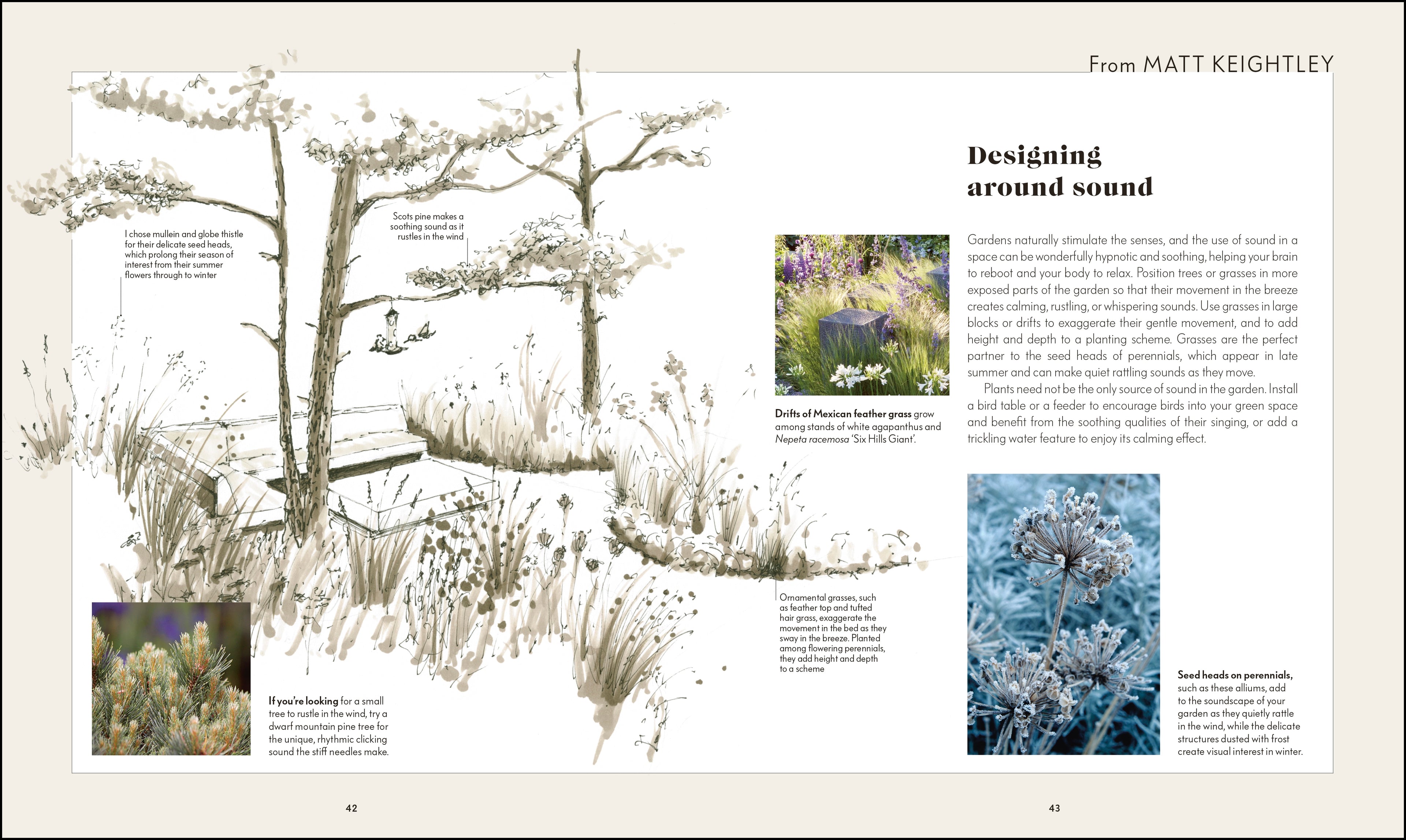 RHS Your Wellbeing Garden