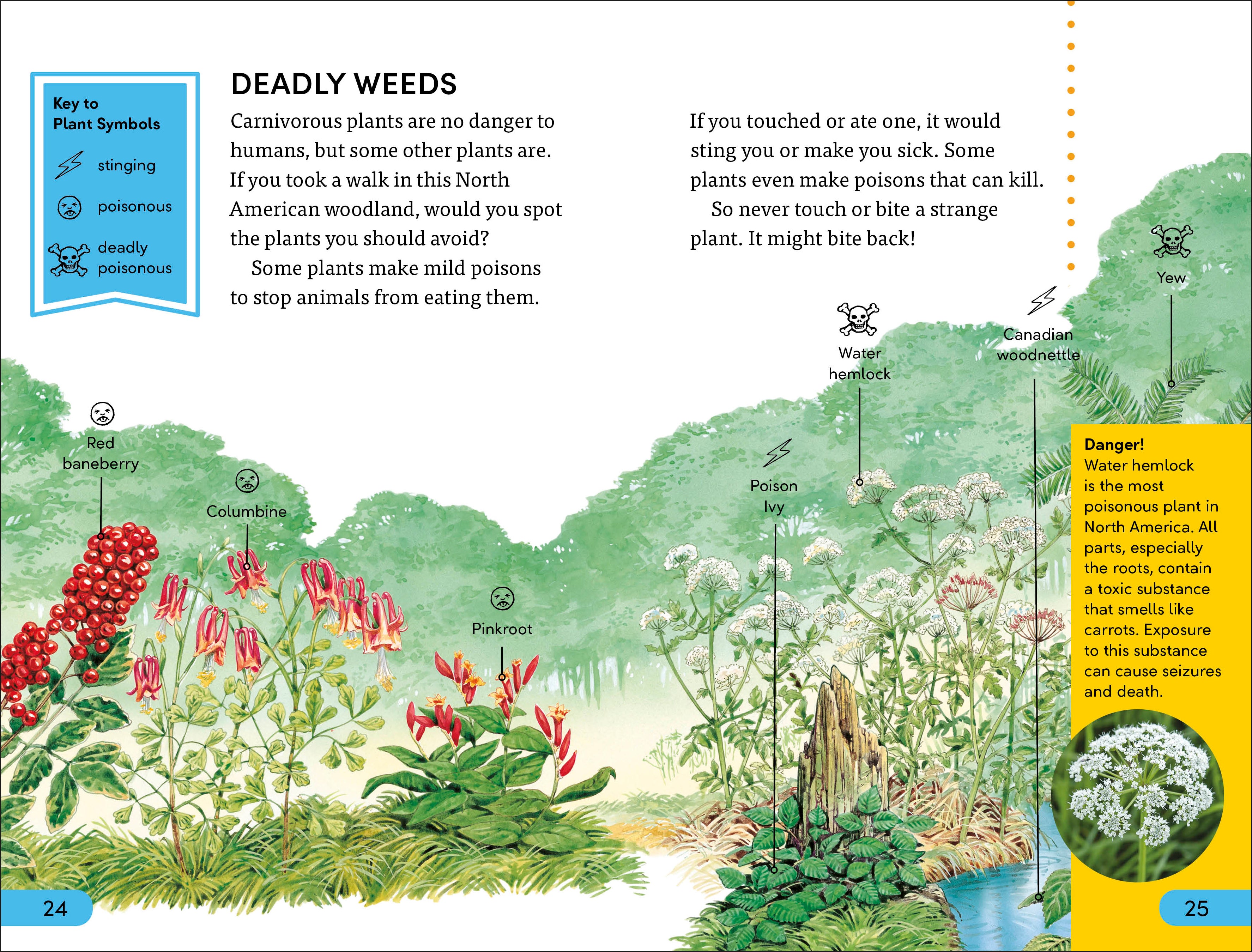 DK Super Readers Level 4 Plants Bite Back