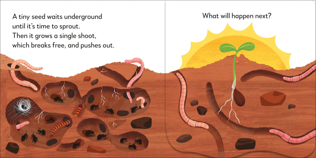 Pop-Up Peekaboo! Tree-Spread, Image, (PRHC, Design, Do, Not, Use)-2