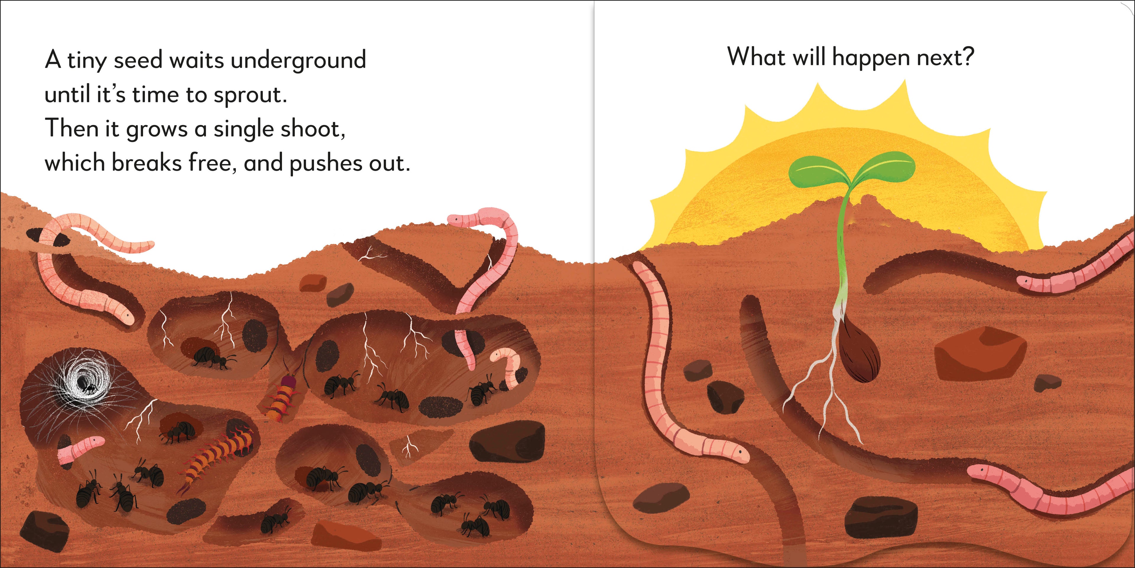 Pop-Up Peekaboo! Tree-Spread, Image, (PRHC, Design, Do, Not, Use)-2