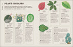 How Not to Kill Your Houseplant-Spread, Image, (PRHC, Design, Do, Not, Use)-3