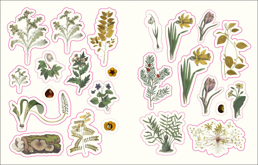 The Forests, Fairies and Fungi Sticker Anthology-image
