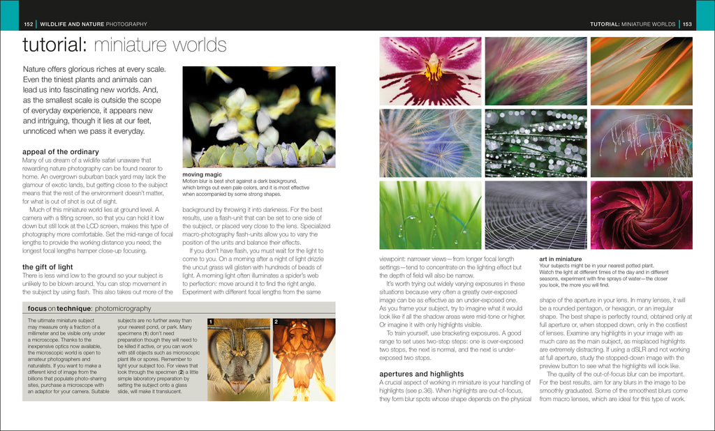 The Complete Photographer