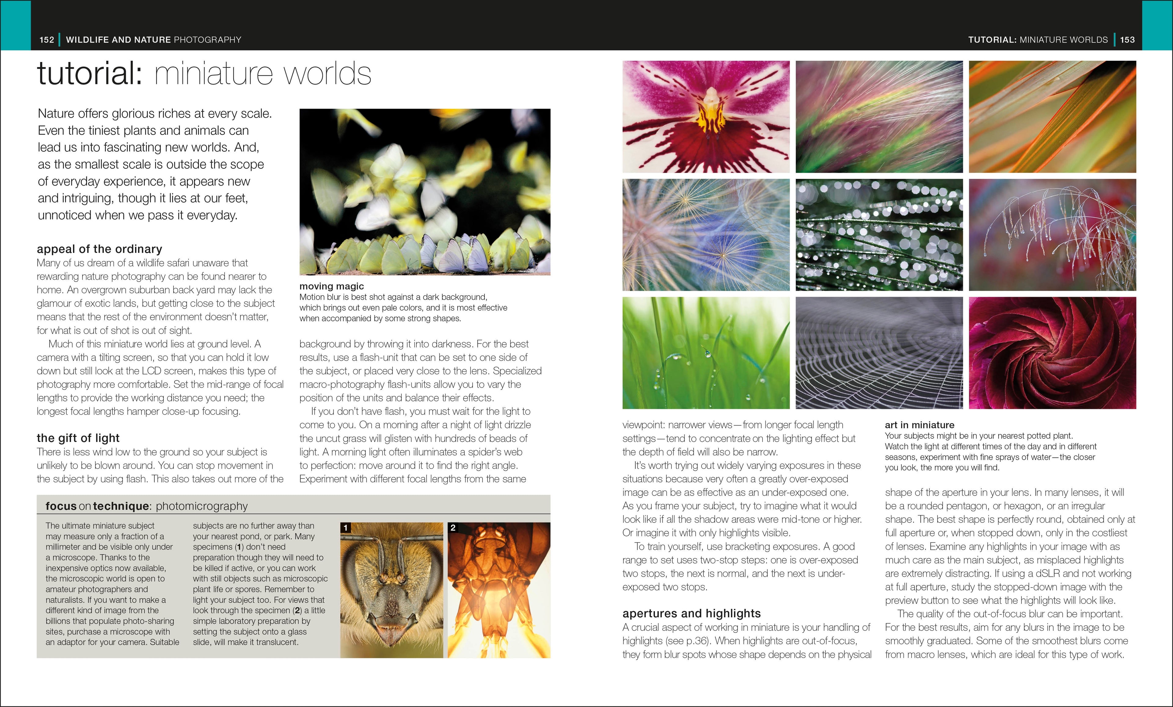 The Complete Photographer