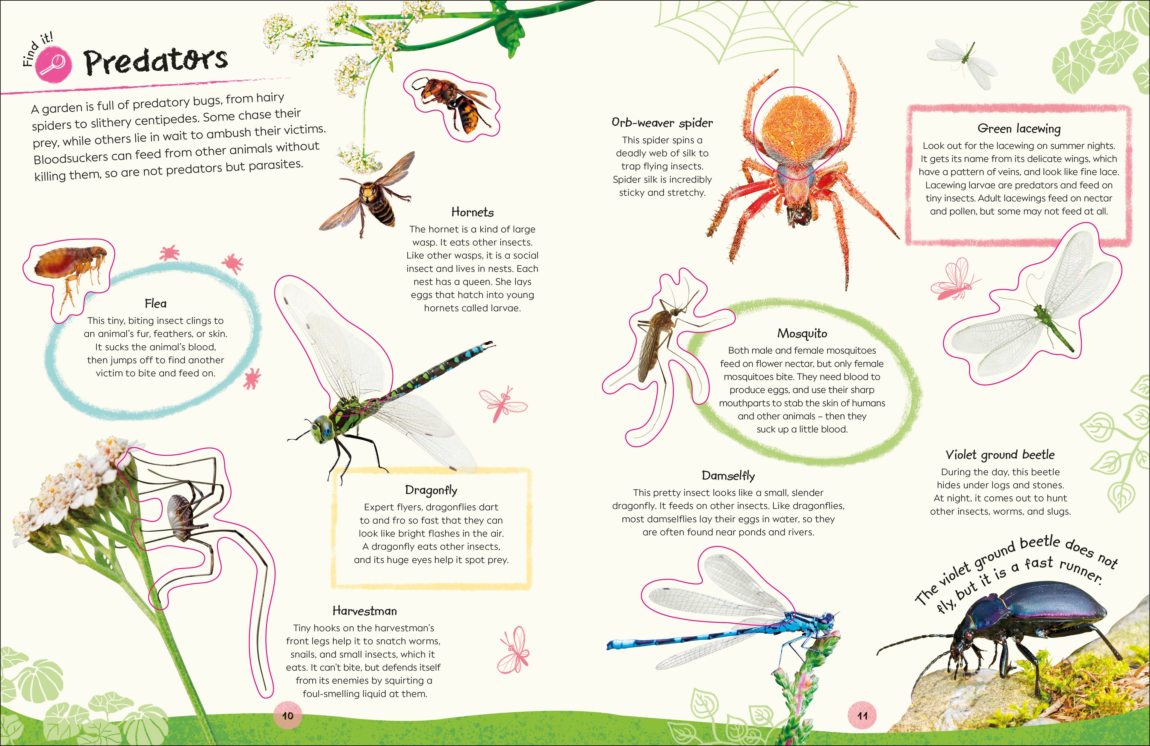 RHS Ultimate Sticker Book Garden Bugs