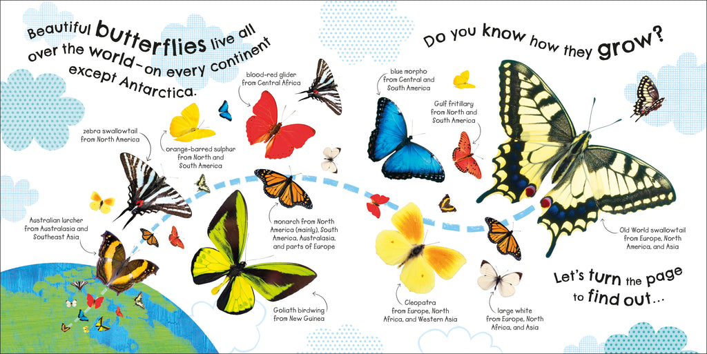 RHS How Does a Butterfly Grow?