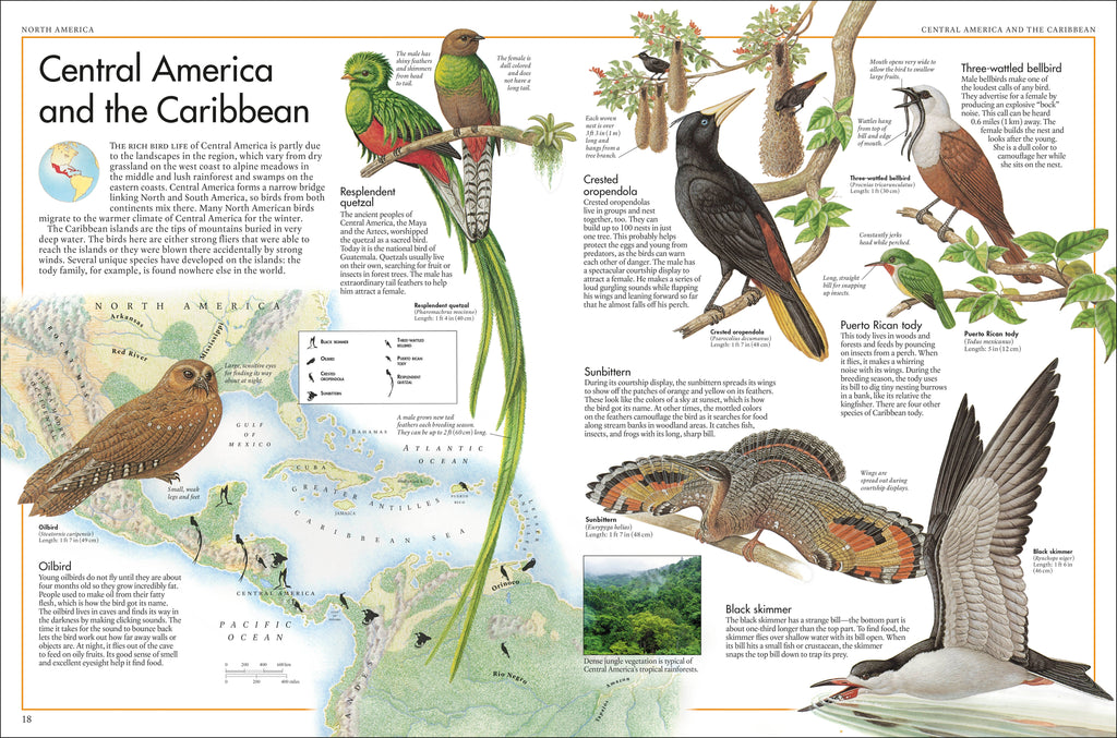 The Bird Atlas