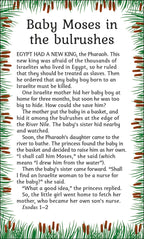 My First Bible Picture Cards