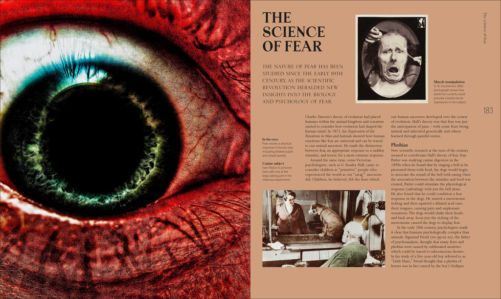 A History of Horror, Fear, and the Uncanny