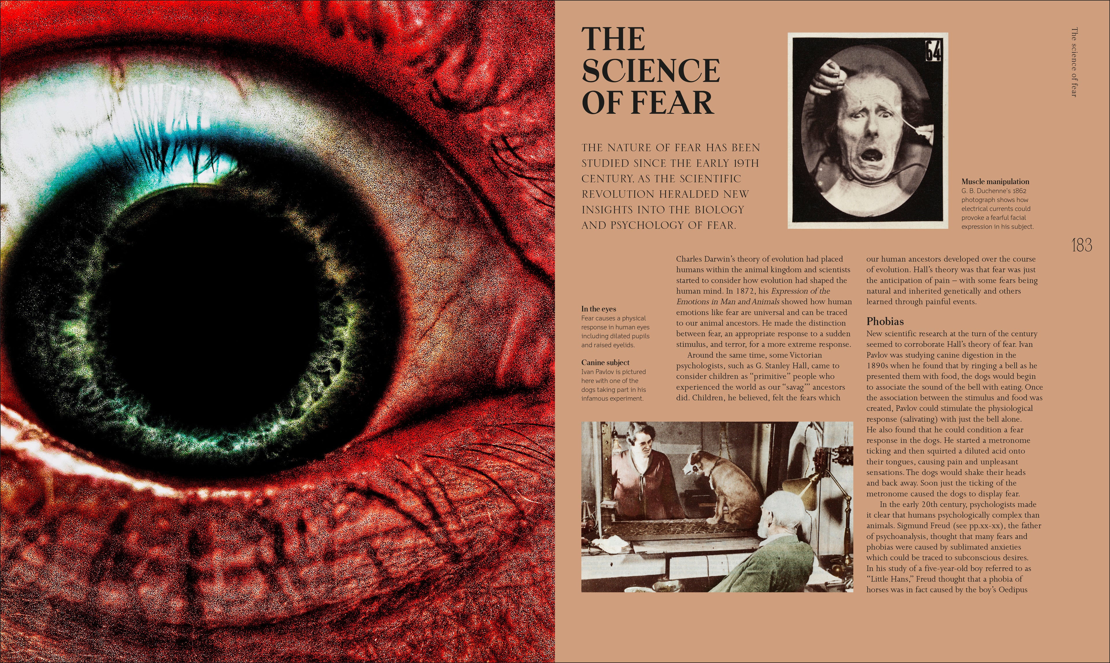 A History of Horror, Fear, and the Uncanny