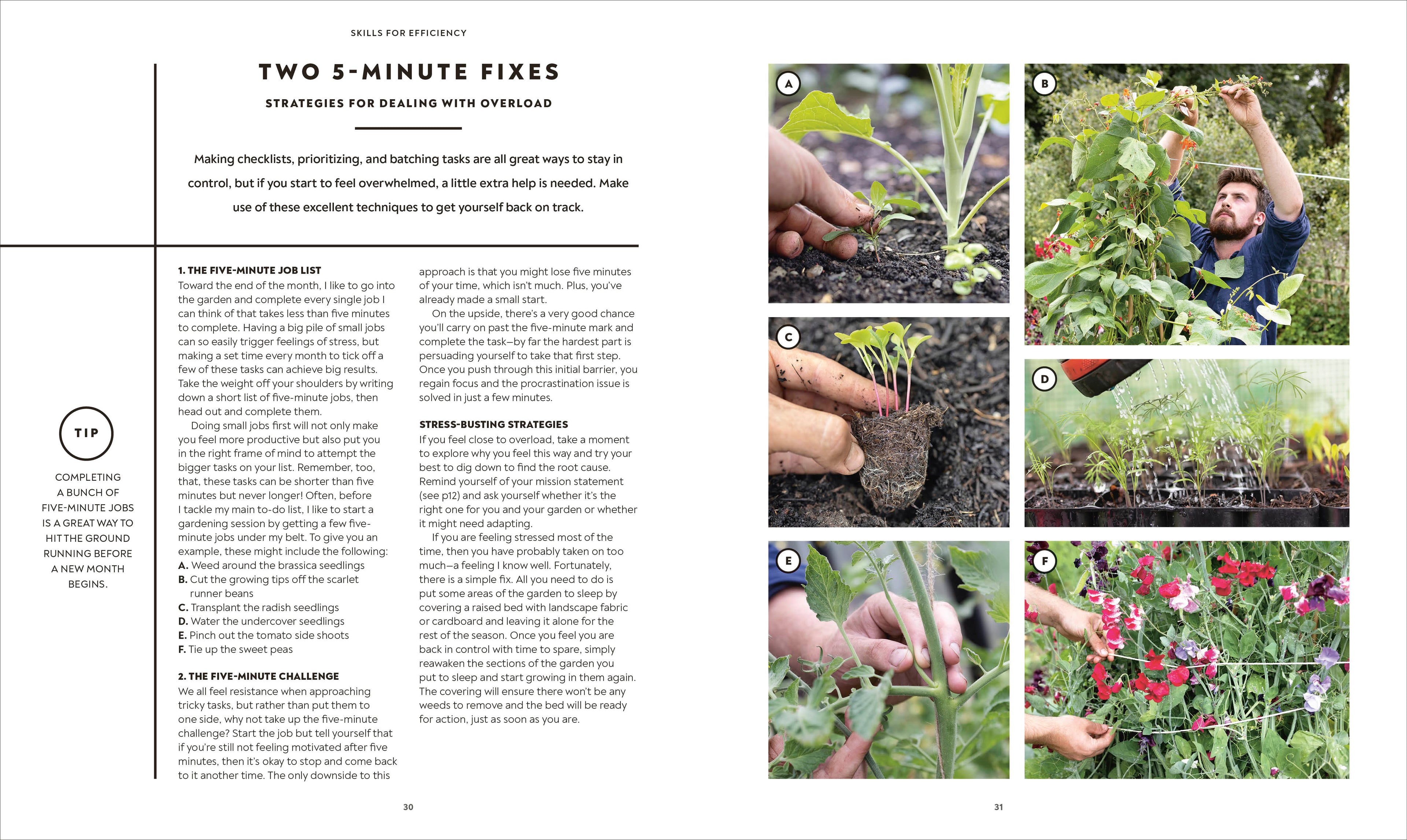 The Vegetable Grower's Handbook-Spread, Image, (PRHC, Design, Do, Not, Use)-1