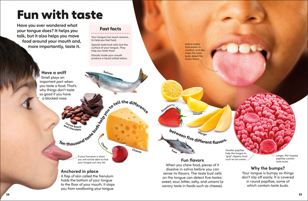 Eyewonder Human Body-Spread, Image, (PRHC, Design, Do, Not, Use)-3