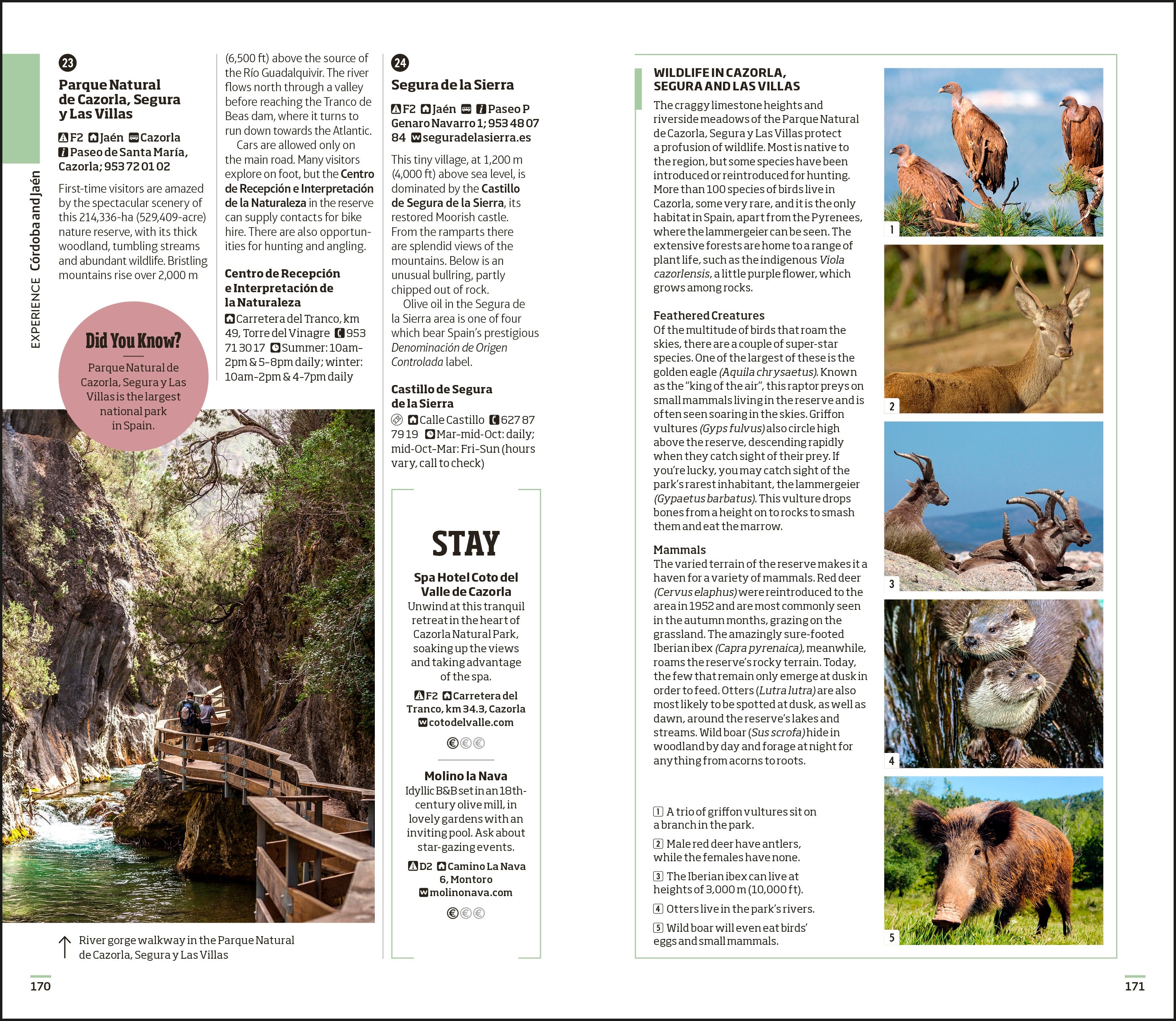 DK Seville and Andalucia