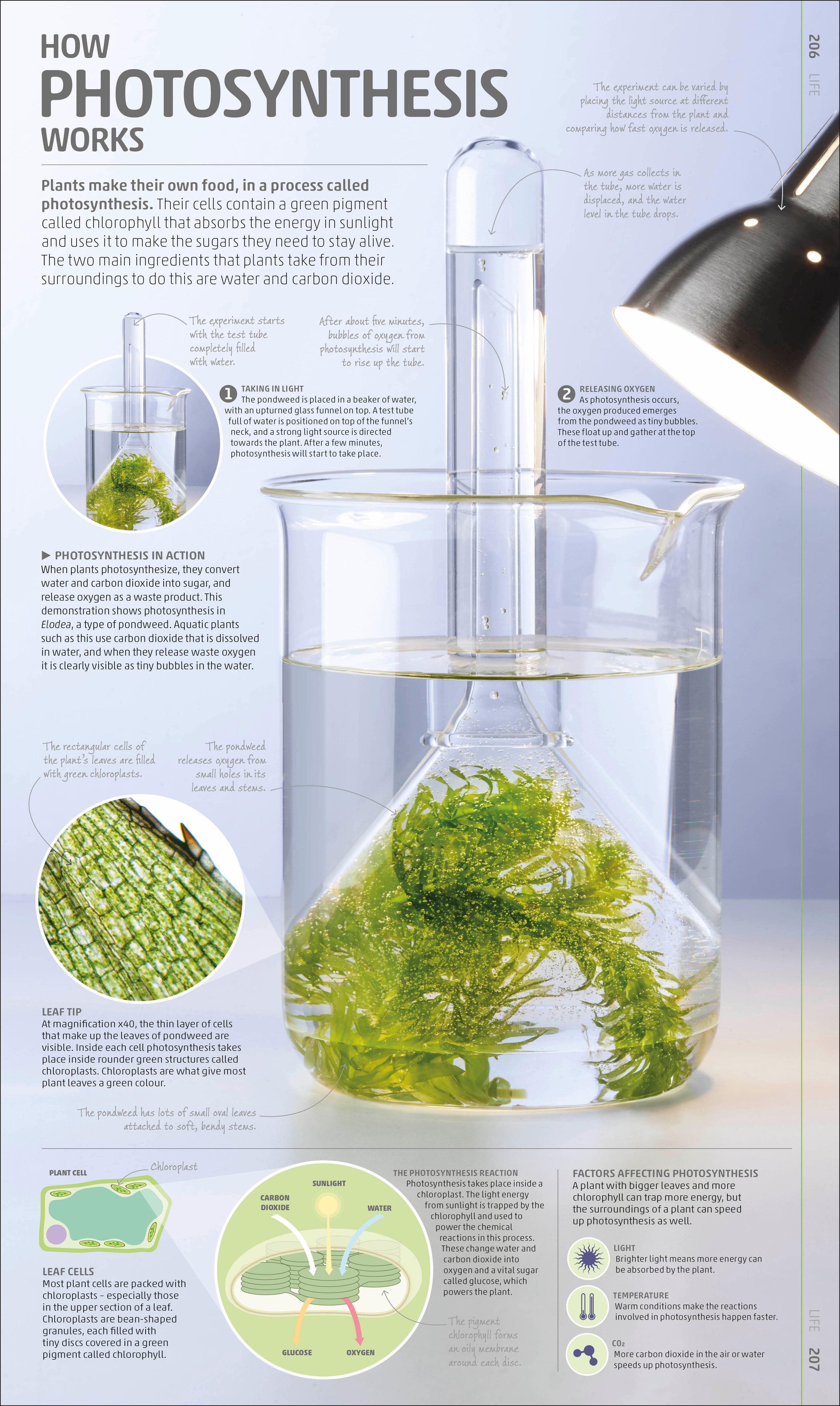 Explanatorium of Science-Spread, Image, (PRHC, Design, Do, Not, Use)-6